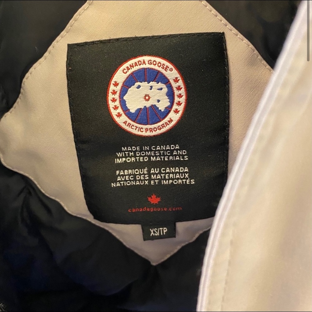 Canada goose